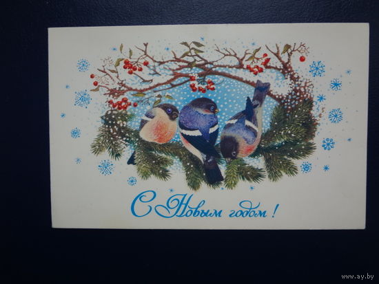 С Новым годом!  1983 г.  Снегири, рябина.  двойная.  подписанная.