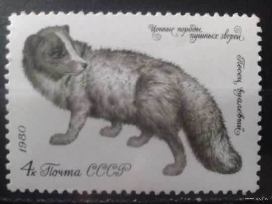 1980 Песец**