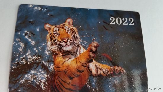 Календарик.Тигриное купание.2022 год.