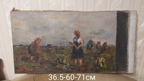 Довгялло Михаил Хрисанфович 1908-1978г Член С/Х БССР.Соцреализм. х/м " Спелая рожь"1948г (36.5-60см по рисунку и 71см по подрамнику)