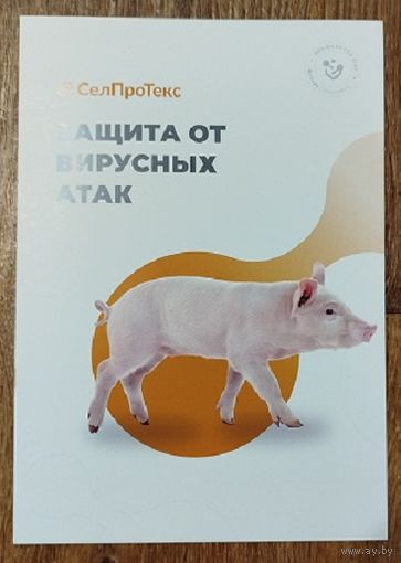 Буклет-Защита от вирусных атак.