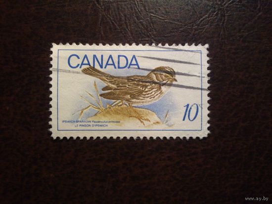 Канада 1969 г.Ипсвичский воробей./44а/