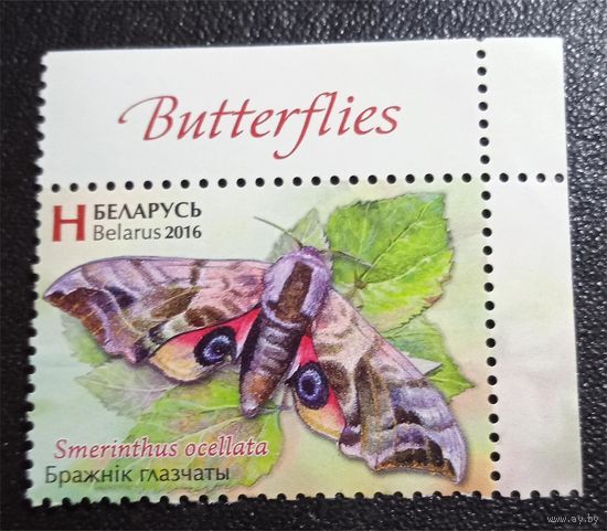 Лот 248 Беларусь (2016) Бабочки. Бражник глазчатый BY1156