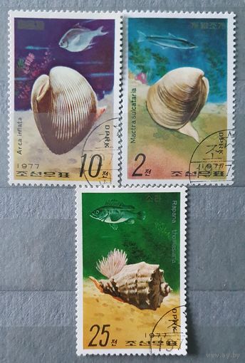 КНДР ракушки 3шт