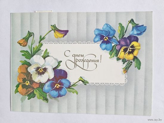 Куртенко 1989 С днем рождения