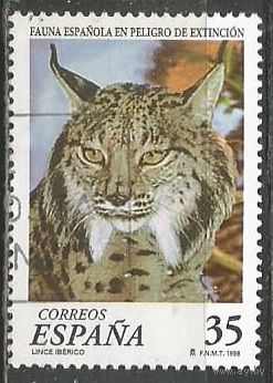 Испания. Маходой. 1999г. Mi#3449.