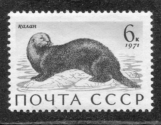 СССР 1971. Морская фауна. Калан