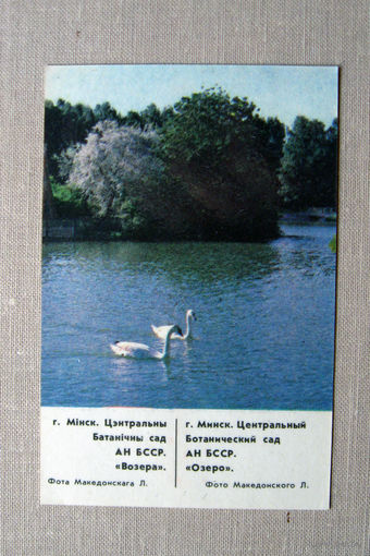К04 Календарик Минск Центральный ботанический сад 1987 БССР Белоруссия СССР
