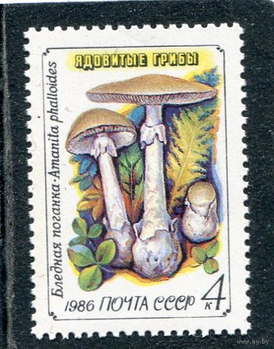 СССР 1986. Ядовитые грибы. Бледная поганка