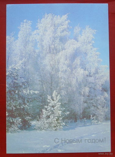 С новым годом! Чистая. 1990 года. Фото Дорожинского. 1976.