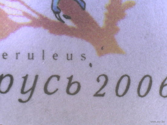 Стандарт 2006. 20. Ошибка печати (_517)