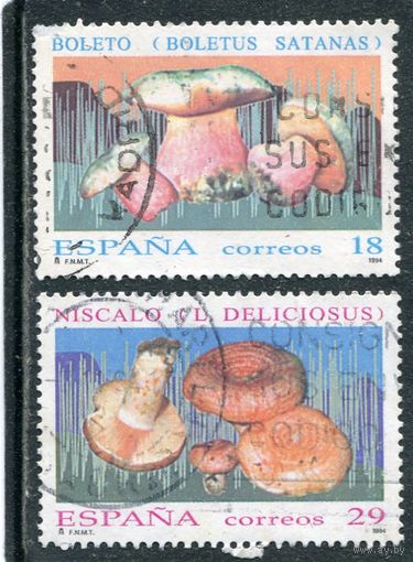 Испания. Грибы