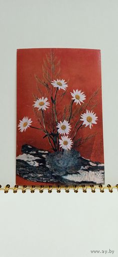 Открытка чистая. Декоративная композиция. 1978г.   14