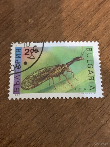 Болгария 1993. Насекомые. Марка из серии