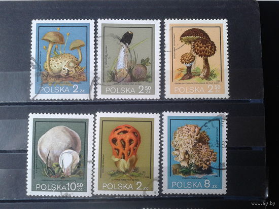 Польша 1980, Грибы, полная серия