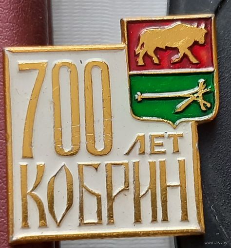 700 лет Кобрин. П-27