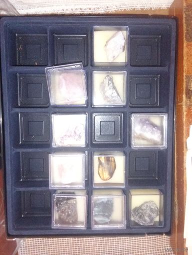 Окаменелости