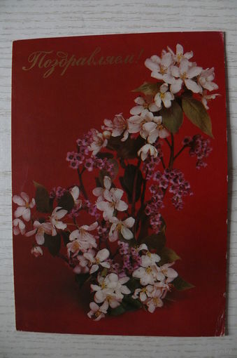 Мартьяхин С., Поздравляем! 1984, подписана.