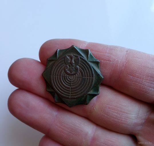 Знак Польша (за отличную стрельбу)