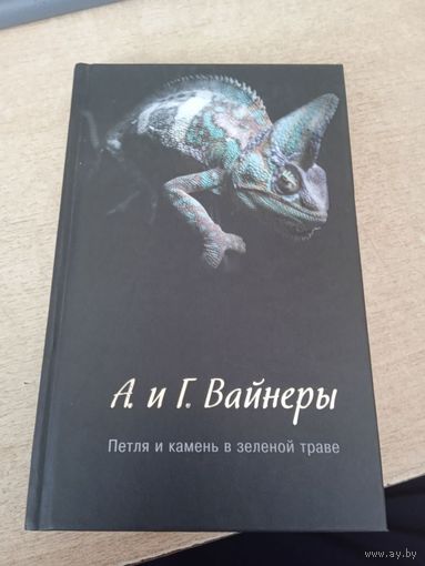 Петля и камень в зеленой траве