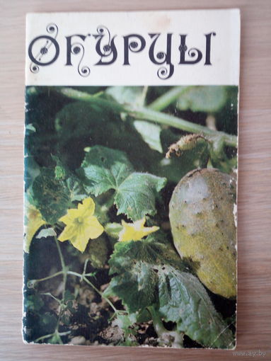 Огурцы