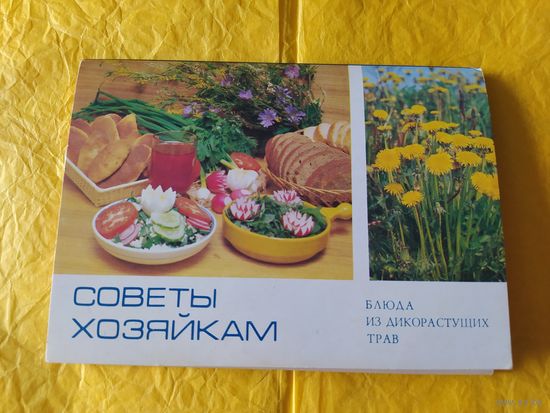 Блюда из дикорастущих трав
