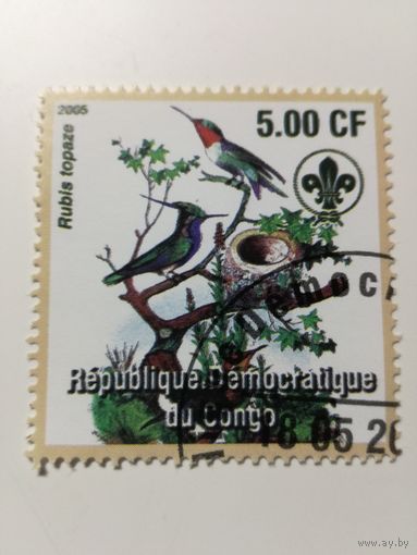 Конго 2005. Птицы. Фауна