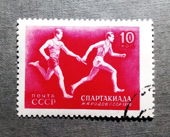 Марка СССР 1956 год Спартакиада