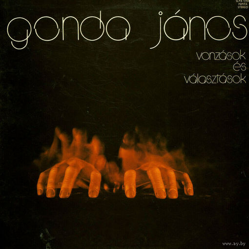 Gonda Janos – Vonzasok Es Valasztasok