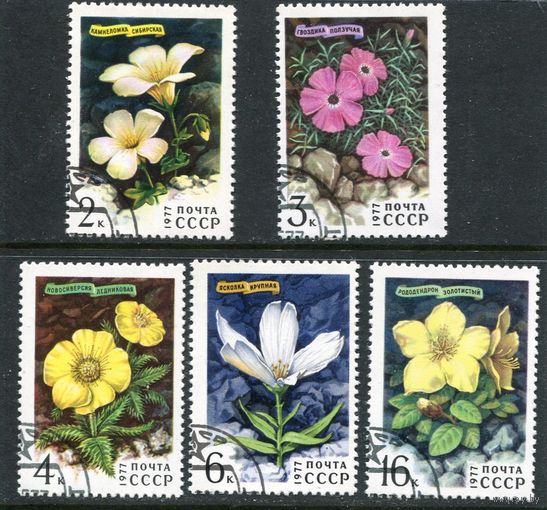 СССР 1977.. Цветы гор Сибири
