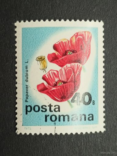 Румыния 1975. Цветы - Международная ботаническая конференция