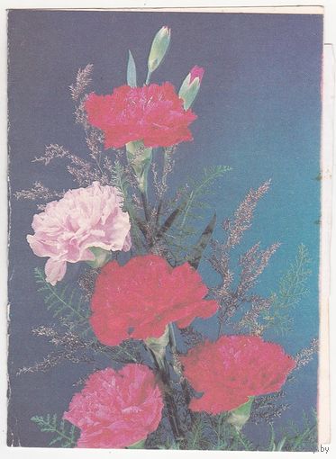 Телеграмма 32