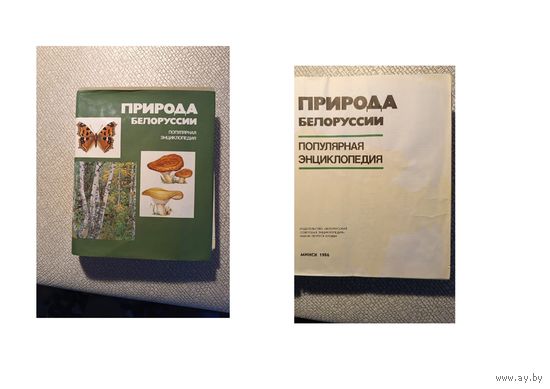 Книга,  ПРИРОДА БЕЛОРУССИИ, популярная энциклопедия Минск 1986