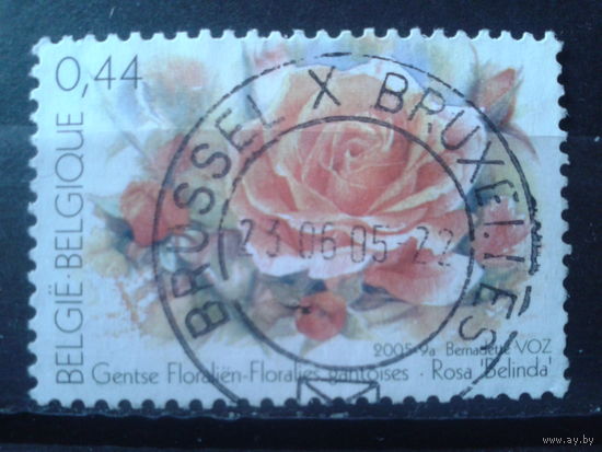 Бельгия 2005 Цветок