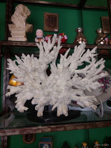 Большой коралл 43 х 27 см