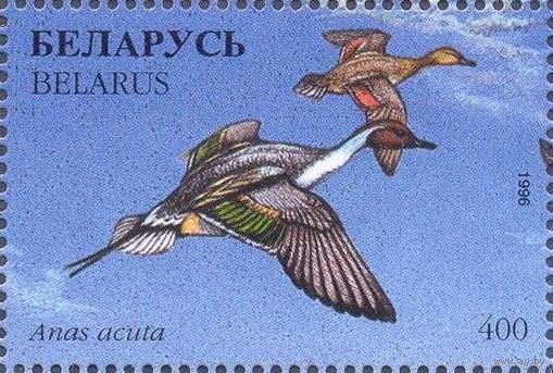 Беларусь 1996 фауна утки