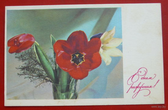 С Днём рождения! Чистая. 1968 года. 183.