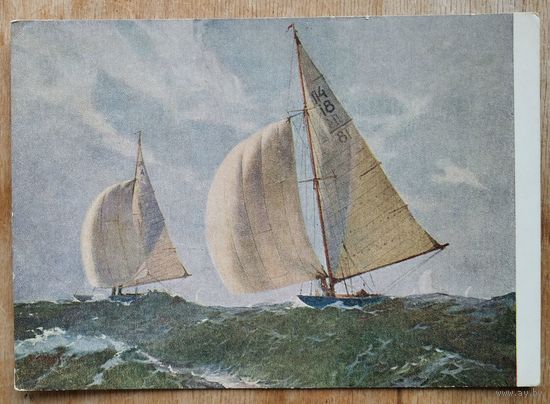 Калниньш Э. Балтийская регата. 1956 г.
