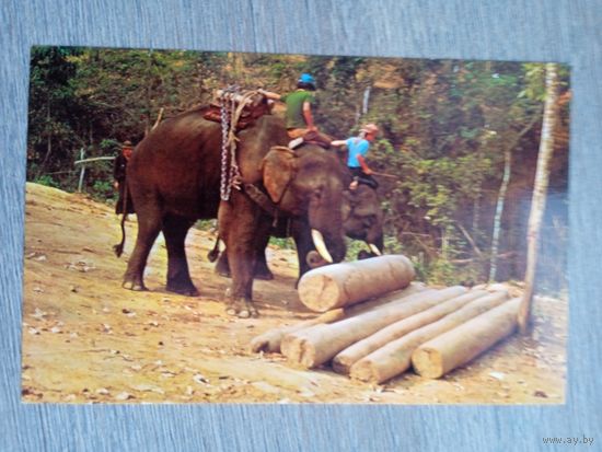 Этнография. Таиланд