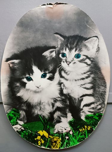 Котята. Размер 17х23см