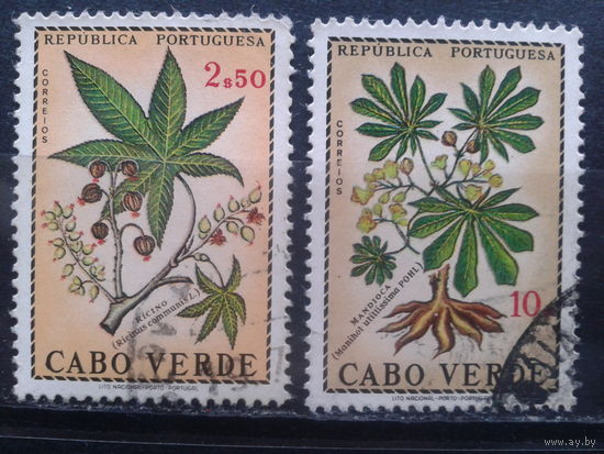 Кабо Верде, колония Португалии, 1968. Чудо дерево и маниока