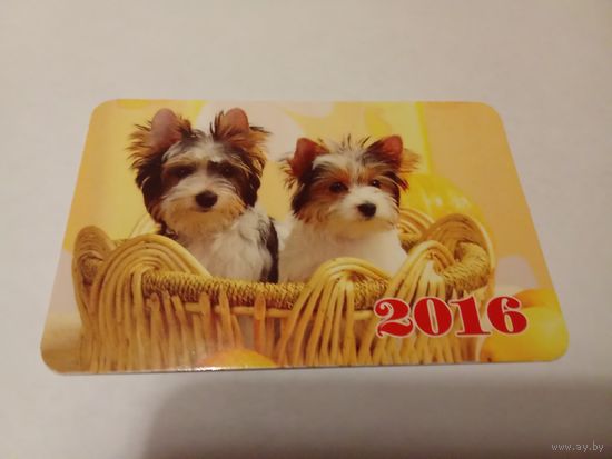 Календарик 2016г. Щенки