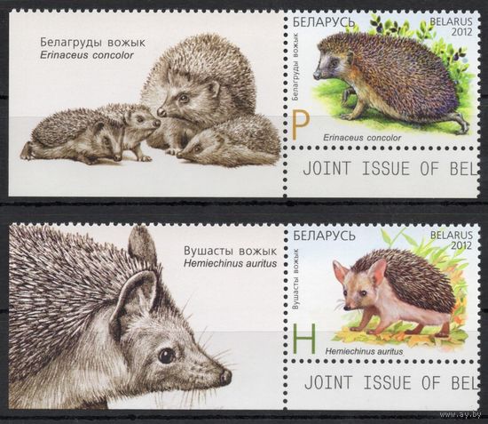 Беларусь 2012. Ежи. 2 марки+купон 925-26 (610)