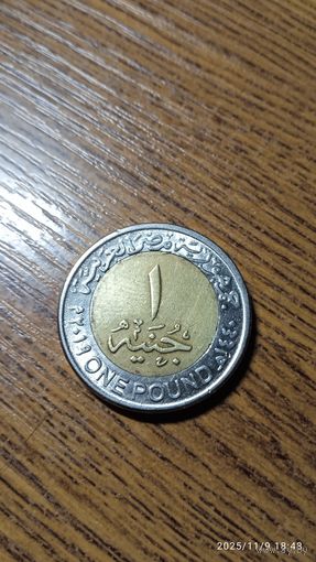 Египет. 1 фунт 2019 год "Солнечный парк Бенбан"