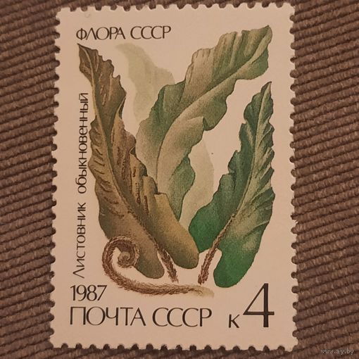 СССР 1987. Флора СССР. Листовник обыкновенный. Марка из серии