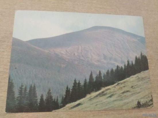 Открытка Закарпаття  Гора Говерла фото Федорова 1970г