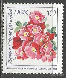 ГДР. Международная выставка роз. 1972г. Mi#1778.