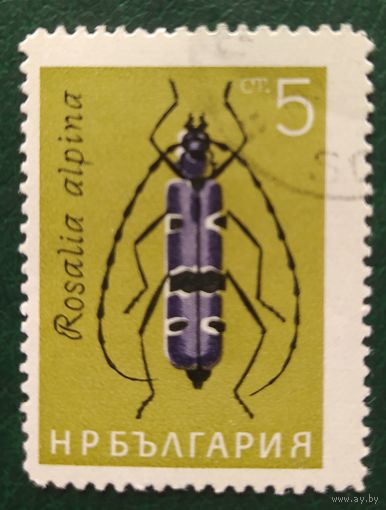Болгария 1964 жуки 1 из 6,.