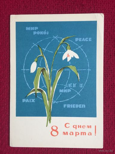 С Днем 8 Марта! Козлов 1966 г. Чистая.
