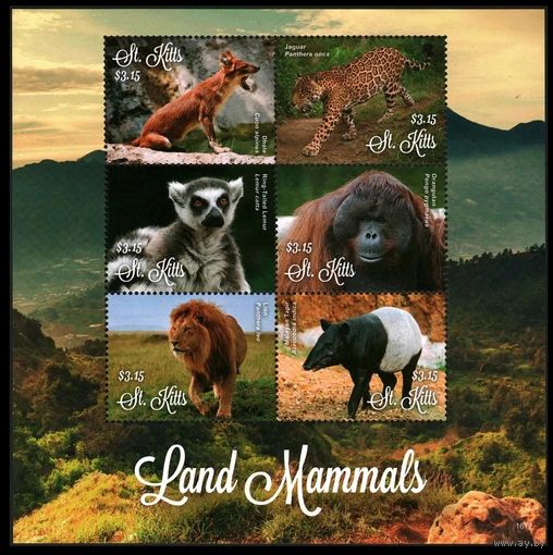2016 Сент-Китс 1583-1588KL Фауна - Лев, Ягуар 17,00 евро